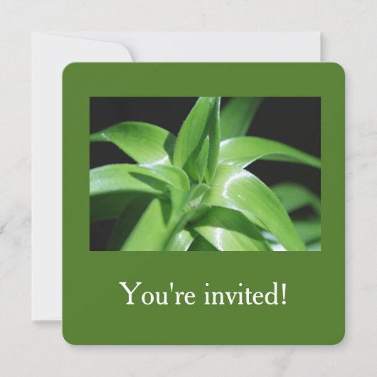 Afstuderen verse groene lantaarnbladeren kaart (Voorkant)