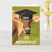 Afstuderen voor Gekke Koe Kaart (Gele Bloem)