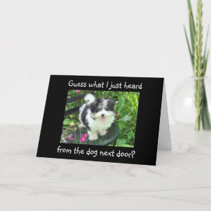 AFSTUDEREN WIST VAN DE DOG VOLGENDE DEUR KAART