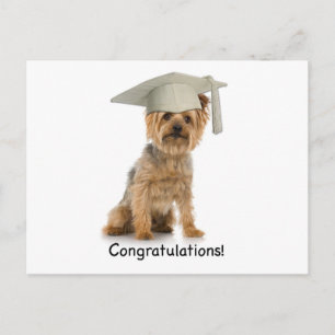 Afstuderen Yorkie Gefeliciteerd Aankondigingskaart