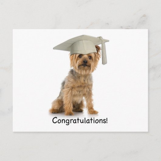 Afstuderen Yorkie Gefeliciteerd Aankondigingskaart (Voorkant)