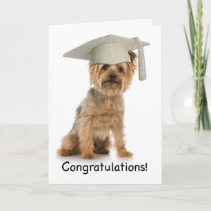 Afstuderen Yorkie Gefeliciteerd Kaart
