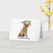 Afstuderen Yorkie Gefeliciteerd Kaart (Gele Bloem)