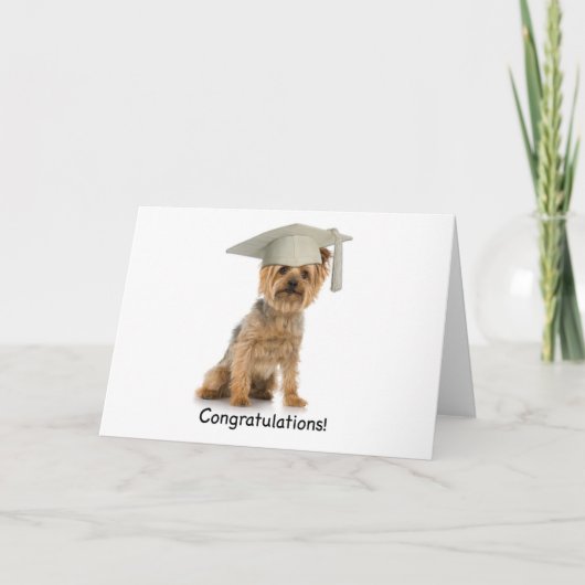 Afstuderen Yorkie Gefeliciteerd Kaart (Voorkant)