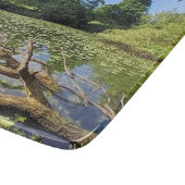 Aftakkingen in het water snijplank (Hoek)