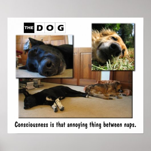 Aftappen. Poster (Voorkant)