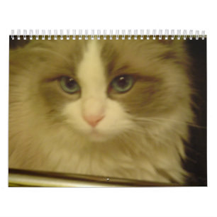 Aftelkalender 2013 kalender