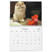 Aftelkalender 2013 kalender (Feb 2026)