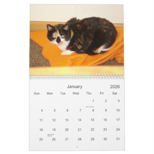 Aftelkalender 2013 kalender (Jan 2026)