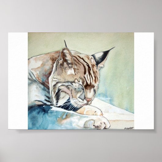 AFter Dinner Washup - Bobcat Poster (Voorkant)