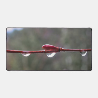 After the Rain Bureaumat