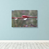 After the Rain Canvas Afdruk (Insitu (Houten vloer))