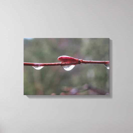 After the Rain Canvas Afdruk (Voorkant)