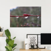 After the Rain Poster (Thuiskantoor)