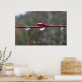 After the Rain Poster (Keuken)