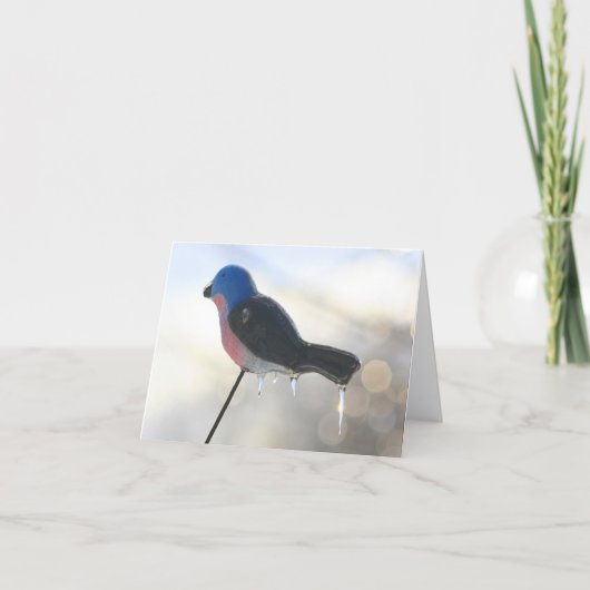 After The Storm Winter Nature Photography Note Kaart (Voorkant)