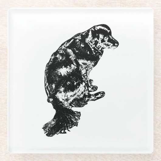 Afterglow Table Hush — Retriever Glazen Onderzetter (Voorkant)
