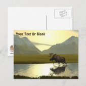 Aftermiddag Moose Briefkaart (Voorkant / Achterkant)