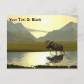 Aftermiddag Moose Briefkaart (Voorkant)