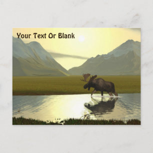 Aftermiddag Moose Briefkaart