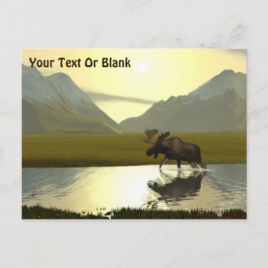 Aftermiddag Moose Briefkaart (Voorkant)