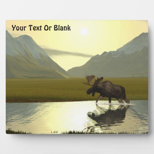 Aftermiddag Moose Fotoplaat (Voorkant)
