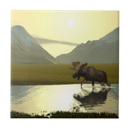 Aftermiddag Moose Tegeltje (Voorkant)