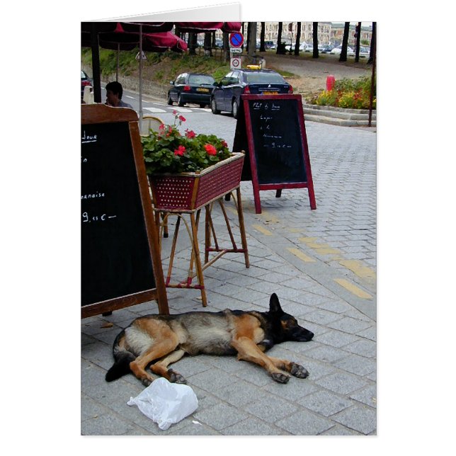 Aftermiddag Nap (Voorkant)