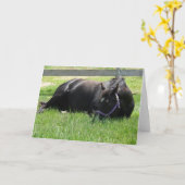 Aftermiddag Nap Kaart (Gele Bloem)