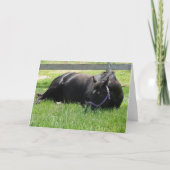 Aftermiddag Nap Kaart (Voorkant)