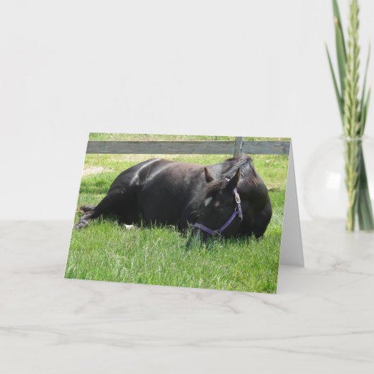 Aftermiddag Nap Kaart (Voorkant)