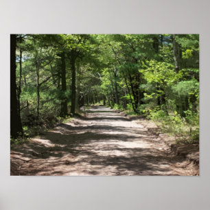 Aftermiddag Shadows Poster