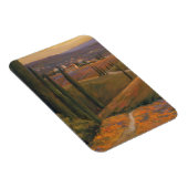 Aftermiddag Walk I Magneet (Rechterzijde)