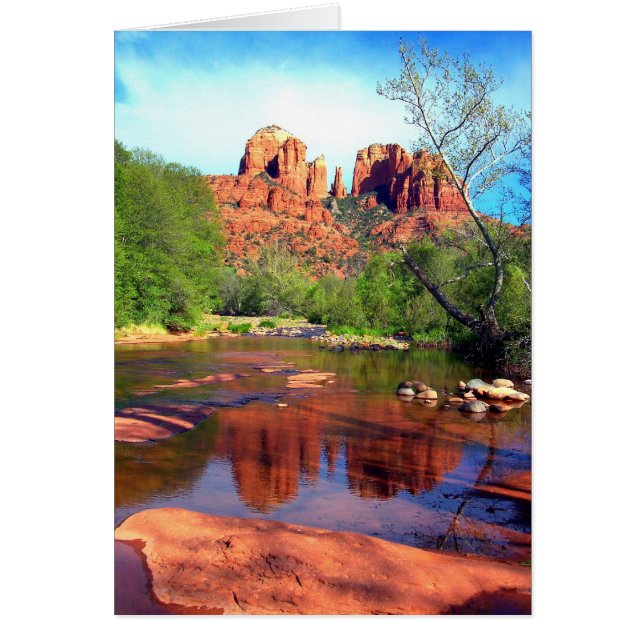 Aftermiddags Beauty (Voorkant)