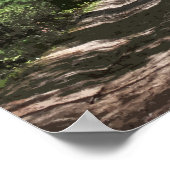 Aftermiddagshdows Poster (Hoek)