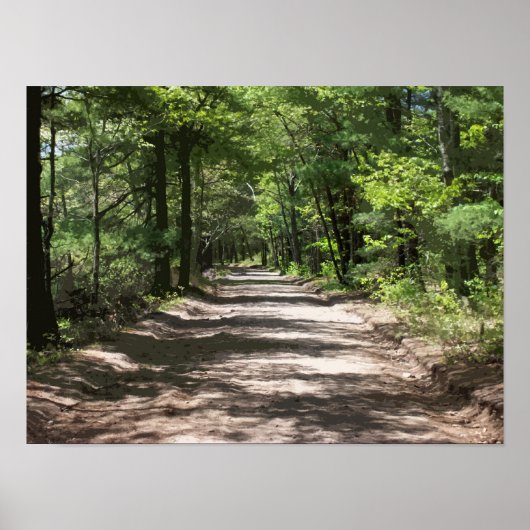 Aftermiddagshdows Poster (Voorkant)