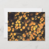 Aftermiddagzon Logs Logger's Uitnodiging tot pensi (Voorkant)