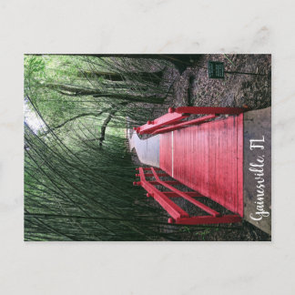 Aftermiddagzwering Briefkaart