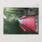 Aftermiddagzwering Briefkaart (Voorkant)