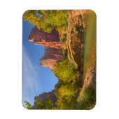 Afternoon In Zion National Park Magneet (Verticaal)