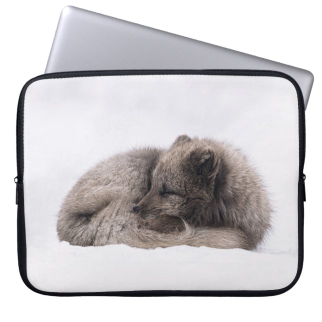 AFTERNOON SIESTA LAPTOP SLEEVE (Voorkant)