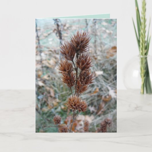 Afterward Kaart (Voorkant)