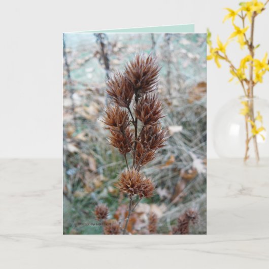 Afterward Kaart (Gele Bloem)