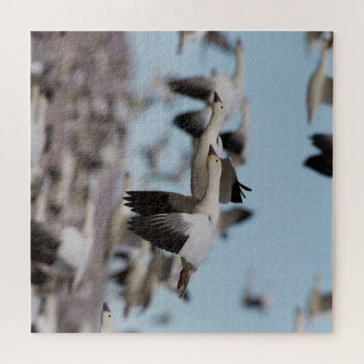 Afval in de Socorroskies Legpuzzel (Horizontaal)