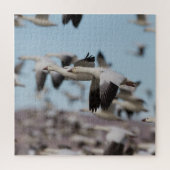 Afval in de Socorroskies Legpuzzel (Verticaal)