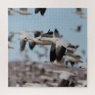 Afval in de Socorroskies Legpuzzel