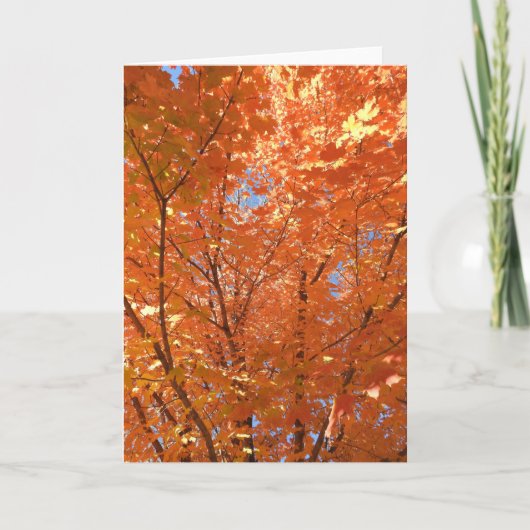 Afvalbladeren herfst verhullen lege hulzen kaart (Voorkant)