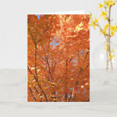 Afvalbladeren herfst verhullen lege hulzen kaart (Gele Bloem)