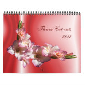 Afvlakkingsmechanisme 2012 kalender (Hoes)