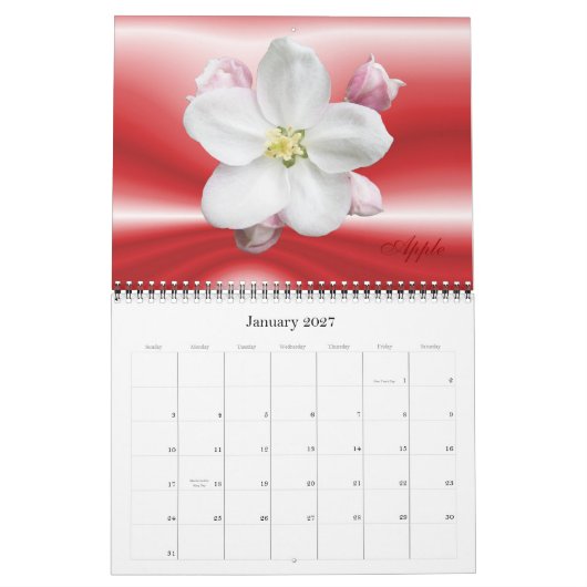 Afvlakkingsmechanisme 2012 kalender (Jan 2027)